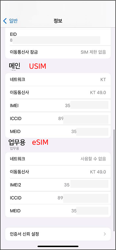 애플 iPhone 단말 eSIM QR코드가 없을 경우 : 4.설정 > 일반 > 정보 화면